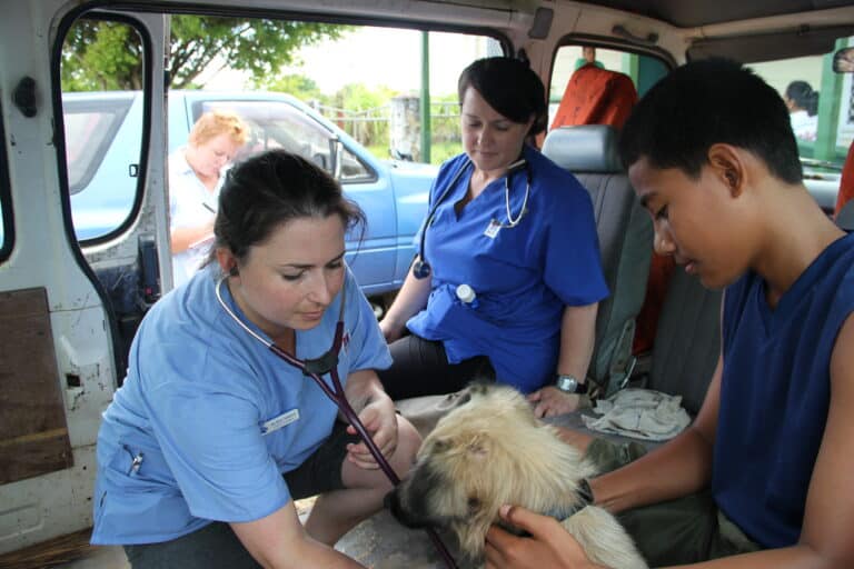 Calling all volunteers – join us in 2023