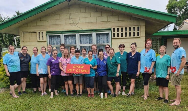 More than 400 animals treated at SPAW and Unitec joint clinic