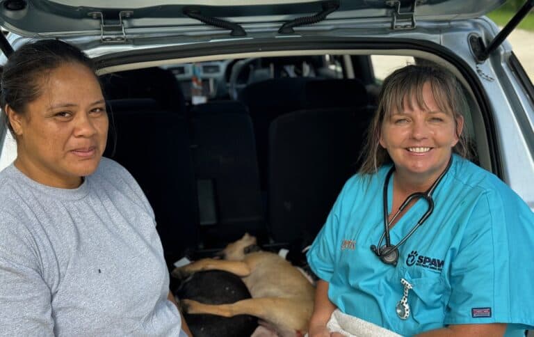 Volunteer stories: Michelle Schimanski