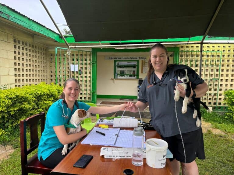 Volunteer stories: Natalie Knight