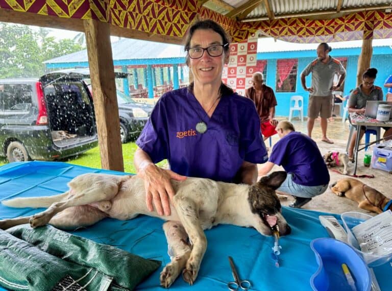 Volunteer stories: Dr Cathy Pollock