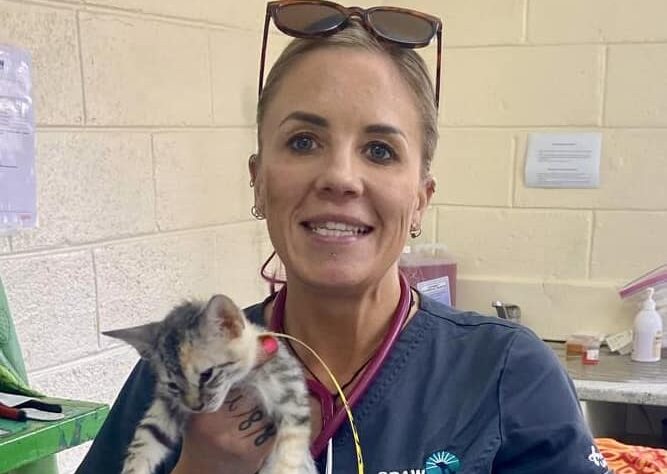 Volunteer stories: Nicole Doriguzzi