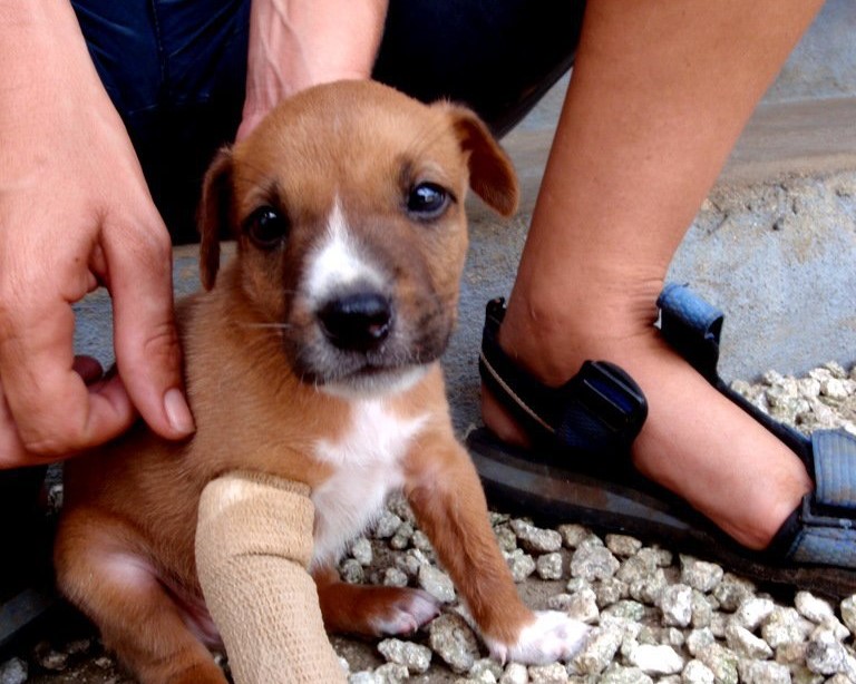 Farewell to our old friend Oxy