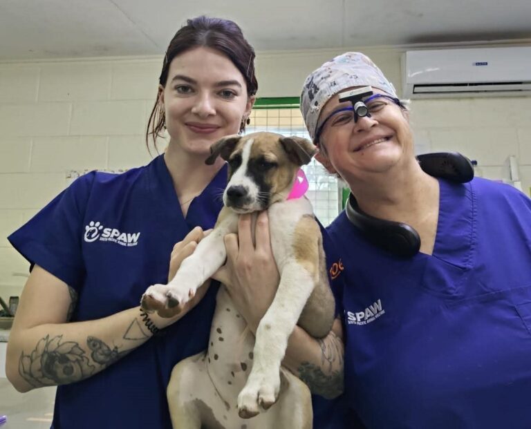 Volunteer stories: Angelina Piccoli